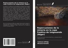 Buchcover von Repercusiones de la minería en la capa freática de Izégouande (Níger)