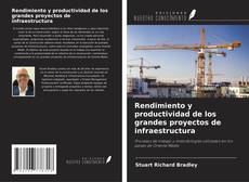 Buchcover von Rendimiento y productividad de los grandes proyectos de infraestructura