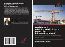 Buchcover von Wydajność i produktywność dużych projektów infrastrukturalnych