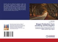 Biogas Production from cowdung and Eucalyptus的封面