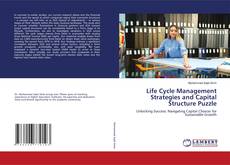 Capa do livro de Life Cycle Management Strategies and Capital Structure Puzzle 