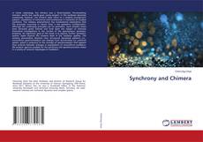 Synchrony and Chimera的封面