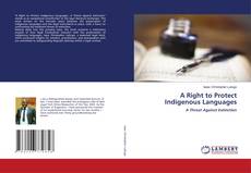 A Right to Protect Indigenous Languages的封面