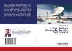 Efficient Spectrum Allocation For Cognitive Radio Networks kitap kapağı