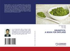 Capa do livro de DRUMSTICK: A BOON FOR DRYLAND 
