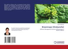 Buchcover von Broomrape (Orobanche)