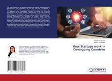 Capa do livro de How Startups work in Developing Countries 