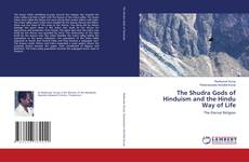 The Shudra Gods of Hinduism and the Hindu Way of Life kitap kapağı
