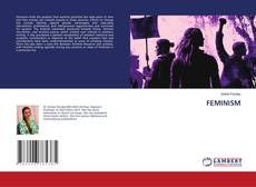Capa do livro de FEMINISM 