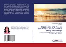 Couverture de Biodiversity and Trophic Structure of Macro-fauna in Sandy Shore Mirya