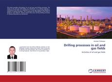Buchcover von Drilling processes in oil and gas fields