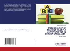 Capa do livro de METHODOLOGY OF TEACHING MULTIPLE MEANING WORDS IN FOREIGN LANGUAGES 