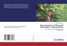 Capa do livro de Gross Anatomy of Blue bull (Boselaphus tragocamelus) 