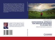 Buchcover von HISTOCHEMICAL APPROACH FOR DROUGHT RESISTANCE IN UPLAND RICE