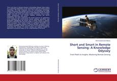 Buchcover von Short and Smart in Remote Sensing: A Knowledge Odyssey