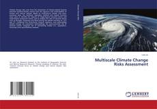 Copertina di Multiscale Climate Change Risks Assessment