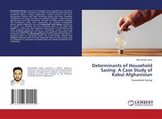 Copertina di Determinants of Household Saving: A Case Study of Kabul Afghanistan
