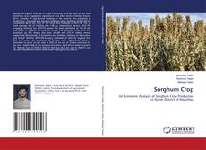 Couverture de Sorghum Crop