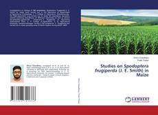 Copertina di Studies on Spodoptera frugiperda (J. E. Smith) in Maize