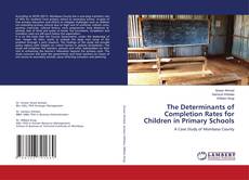 Copertina di The Determinants of Completion Rates for Children in Primary Schools