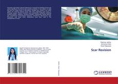 Copertina di Scar Revision