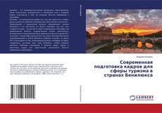 Copertina di Современная подготовка кадров для сферы туризма в странах Бенилюкса