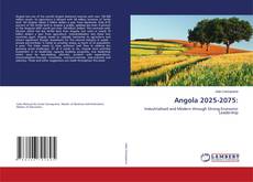 Buchcover von Angola 2025-2075: