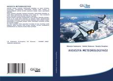 Bookcover of AVIASIYA METEOROLOGIYASI