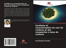 Borítókép a  Synthèse et caractérisation du noir de carbone et des composites à base de carbone - hoz