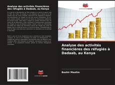 Couverture de Analyse des activités financières des réfugiés à Dadaab, au Kenya