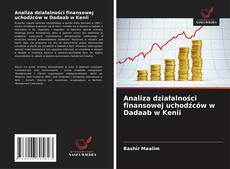Buchcover von Analiza działalności finansowej uchodźców w Dadaab w Kenii