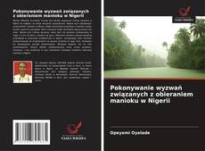 Buchcover von Pokonywanie wyzwań związanych z obieraniem manioku w Nigerii