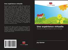 Couverture de Une expérience virtuelle