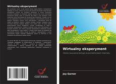 Wirtualny eksperyment的封面