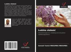 Buchcover von Ludzka słabość