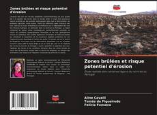 Couverture de Zones brûlées et risque potentiel d'érosion