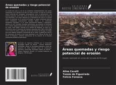 Copertina di Áreas quemadas y riesgo potencial de erosión