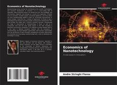 Economics of Nanotechnology的封面