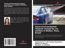 Обложка Socio-environmental impacts caused by car washes in Belém, Pará, Brazil