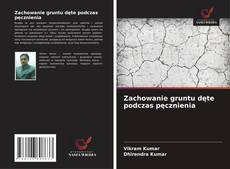 Zachowanie gruntu dęte podczas pęcznienia的封面