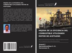 Copertina di MEJORA DE LA EFICIENCIA DEL COMBUSTIBLE UTILIZANDO MOTOR DE ACETILENO