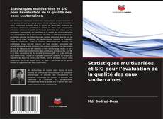Copertina di Statistiques multivariées et SIG pour l'évaluation de la qualité des eaux souterraines