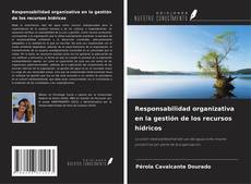 Copertina di Responsabilidad organizativa en la gestión de los recursos hídricos