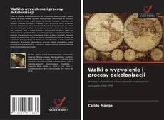 Walki o wyzwolenie i procesy dekolonizacji的封面