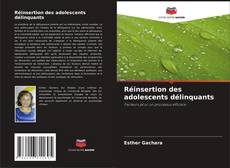 Bookcover of Réinsertion des adolescents délinquants