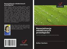 Buchcover von Resocjalizacja młodocianych przestępców