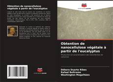 Borítókép a  Obtention de nanocellulose végétale à partir de l'eucalyptus - hoz