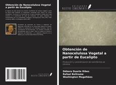 Copertina di Obtención de Nanocelulosa Vegetal a partir de Eucalipto
