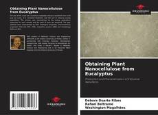 Copertina di Obtaining Plant Nanocellulose from Eucalyptus