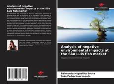 Copertina di Analysis of negative environmental impacts at the São Luis fish market